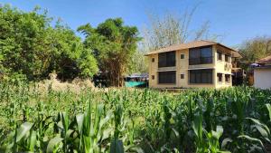 a house in the middle of a field of grass at Saguna Baug Agro Tourism in Neral