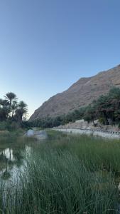 a body of water with palm trees and a hill at Wadi hawer tour guiding and local farm tour in Biḑ‘ah