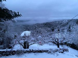 a snow covered hill with a house and a tree at Dryades in Elati