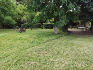 a park with a bench and a tree in the grass at La Guevarina- Casa de Campo in Tres Esquinas +11 photos