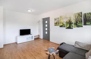 a living room with a couch and a flat screen tv at Ferienhof Broger FeWo Obstbäumle mit Pool in Neukirch