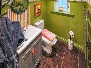 a green bathroom with a toilet and a sink at The Twitcher - Uk50612 in Sabden +1 photo