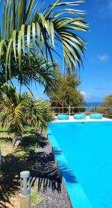 a blue swimming pool with a palm tree next to it at Les Jardins d'Ostréa in Port Maturin