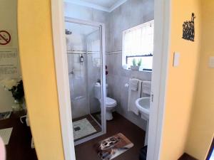 a bathroom with a shower and a toilet and a sink at Meerkat Manor on Main in Clarens