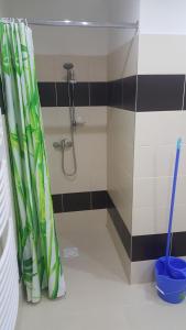 Kúpeľňa v ubytovaní Apartmán u červeného kostela