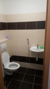 Kúpeľňa v ubytovaní Apartmán u červeného kostela