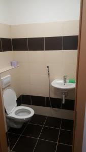 a bathroom with a toilet and a sink at Apartmán u červeného kostela in Teplice