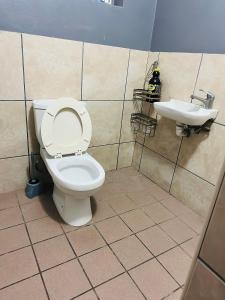 a bathroom with a toilet and a sink at AAA Luxury Cottages in Cape Town