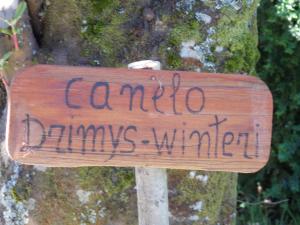 Fotografie z fotogalerie ubytování Hotel Patagonia Insular v destinaci Quellón