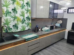 a kitchen with a sink and a counter top at Jannat Residence in Curepipe