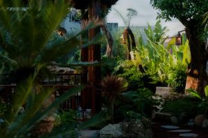 a garden with tropical plants and a building at Mộc An Homestay in Kon Rung (1)