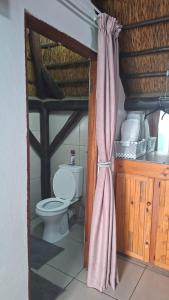 a bathroom with a toilet and a shower curtain at Oppihoek Gastehuis in Kroonstad