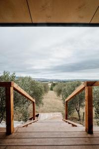 a wooden boardwalk with a view of a field at Casa Olea in Waipara
