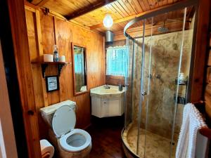 a bathroom with a shower and a toilet and a sink at Tegwaan's Nest B&B in Mooiriver