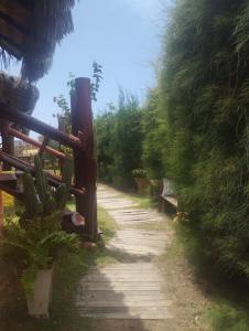 a dirt road with a fence and a cactus at Pedral Beach chalé e restaurante in Parnaíba
