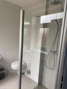 a bathroom with a shower and a toilet at Ferienwohnung am Sandwater in Ihlow