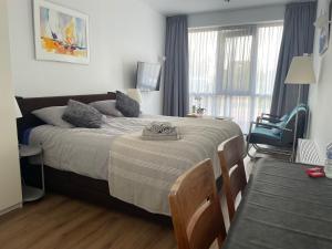 a bedroom with a large bed and a window at Gastenverblijf Buitenplaats Wergea contactloos inchecken in Naarderburen