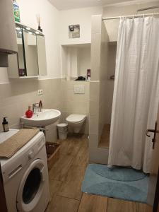 a bathroom with a toilet sink and a washing machine at Ferienwohnung Veljanovski Haus der Sonne in Blaufelden