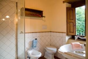 a bathroom with a toilet and a sink and a shower at La Casetta di Giovanni in Pratovecchio