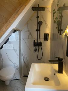 a bathroom with a sink and a toilet at MonteRosso in Mărişel +39 photos