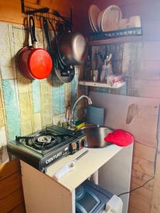 a small kitchen with a stove and a sink at Blue Moon Cabin in Willemstad