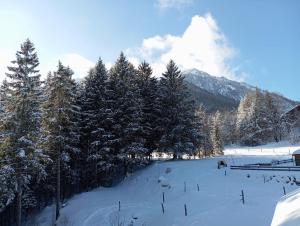 a snow covered slope with trees and a mountain at Ferienhaus Wimmer in Faistenau