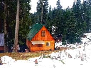 an orange cabin with a green roof in the snow at Дом в Бахмаро in Chʼkhakoura