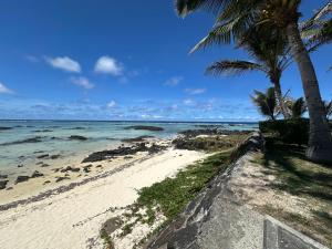 a beach with two palm trees and the ocean at Palmar Bay - Beachside Villa in Palmar