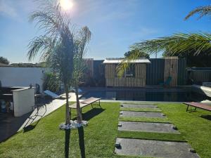 a garden with a palm tree and a pool at Studio Conteneur in Cruscades