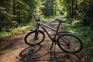 a bike is parked on a dirt road at APARTAMENTY & DOMKI Chełmsko Śląskie in Chełmsko Śląskie