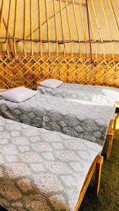 a pair of beds in a yurt at Kel-Suu Kyrgyzstan Yurt Camp in Kol-Suu