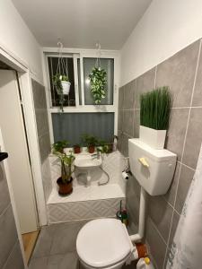 ein Badezimmer mit Toilette und Waschbecken mit Topfpflanzen in der Unterkunft Green gallery in Haifa