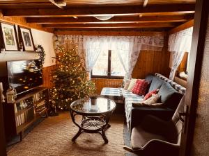 a living room with a christmas tree and a couch at Útulná chaloupka na Valašsku in Valašská Bystřice