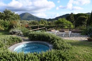 a swimming pool in the middle of a yard at La Casa Gialla in Lucca