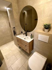 a bathroom with a sink and a mirror and a toilet at Modernes Studio in Irrel in Irrel