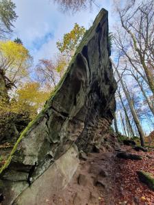 a large rock on a trail in the woods at Modernes Studio in Irrel in Irrel