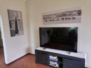 a living room with a large flat screen tv at Mimosa House Double Room in Brackenfell