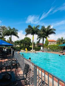 a swimming pool with palm trees and people in it at Las Vegas Garden Hotel-Kampala in Kampala