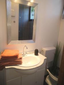 a bathroom with a sink and a mirror and a toilet at Ferienhaus Freilingen 184 in Blankenheim +16 photos