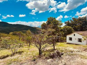 a white house in a field with trees and mountains at Casinha da Serra in Rio Acima