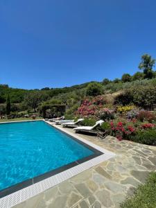a swimming pool next to a garden with flowers at La Casa Gialla in Lucca