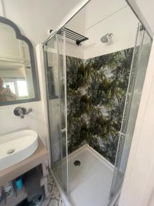 a bathroom with a shower and a sink at Waterberry Hideaway in Pringle Bay +25 photos