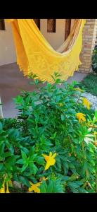 a plant with yellow flowers and a net at Pousada recanto do sol in Cajueiro