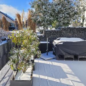 a backyard with a bed and two potted plants at Eifelherz mit Sonnenterrasse in Nideggen