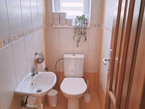 a small bathroom with a toilet and a sink at Vila Hafira in Zuberec +30 photos