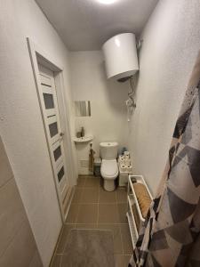 a small bathroom with a toilet and a door at Ozolkungi in Turaida