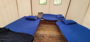 two blue bean bags sitting in a room at ASSINGAR camp in Jazīrat Suhayl +90 photos