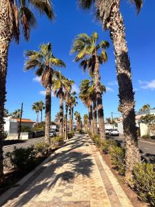 a sidewalk lined with palm trees on a street at Villa Mirlo Seaview in Palm-Mar