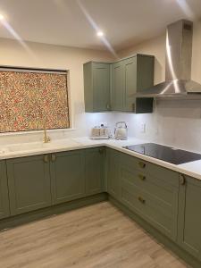 a kitchen with green cabinets and a sink at St Magnus Retreat in Lerwick
