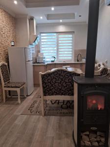 a living room with a stove in a kitchen at Maria in Solochyn